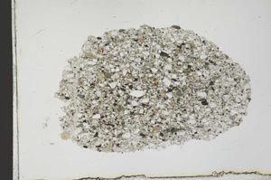 Plane Polarized, S20005