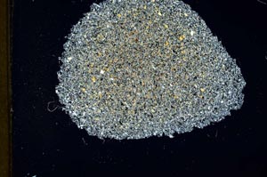 Cross Polarized, S20006