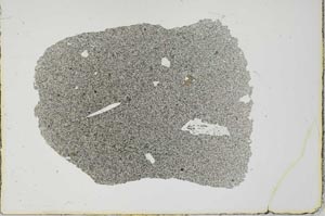 Plane Polarized, S20052