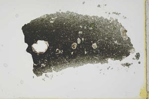 Plane Polarized, S20083