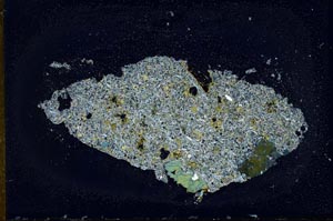Cross Polarized, S20106