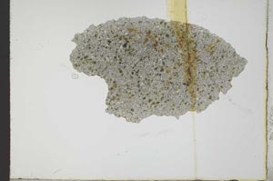 Plane Polarized, S20111