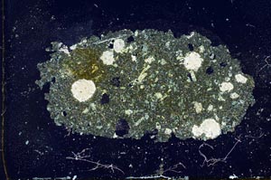 Cross Polarized, S20113