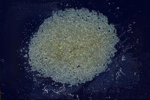 Cross Polarized, S20193