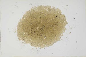 Plane Polarized, S20193