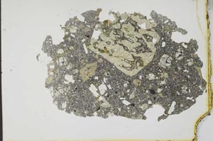 Plane Polarized, S20196