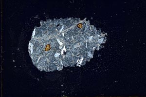 Cross Polarized, S20197