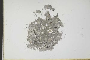 Plane Polarized, S20199