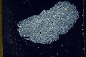 Cross Polarized, S20204