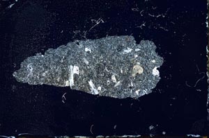 Cross Polarized, S20205