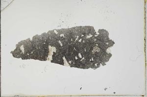 Plane Polarized, S20205