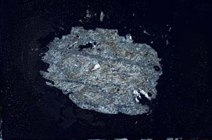 Cross Polarized, S20206