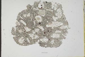 Plane Polarized, S20207