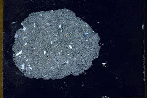 Cross Polarized, S20208