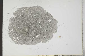 Plane Polarized, S20208