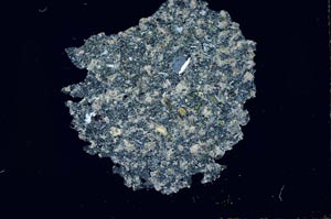 Cross Polarized, S20209