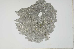 Plane Polarized, S20209