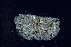 Cross Polarized, S20220