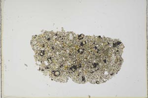 Plane Polarized, S20220