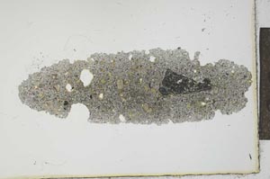 Plane Polarized, S20224