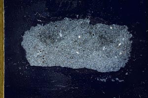 Cross Polarized, S20226