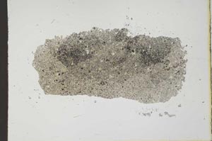 Plane Polarized, S20226