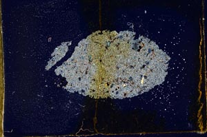 Cross Polarized, S20231