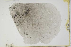 Plane Polarized, S20232