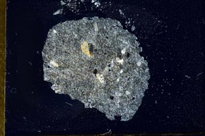 Cross Polarized, S20235