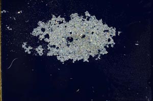Cross Polarized, S20240