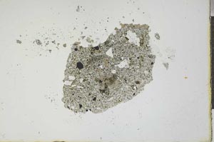 Plane Polarized, S20257