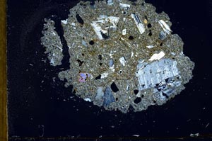 Cross Polarized, S20258