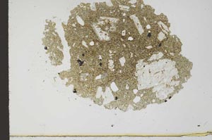 Plane Polarized, S20258