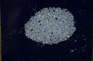 Cross Polarized, S20264