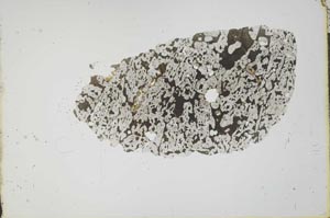 Plane Polarized, S20282