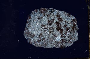 Cross Polarized, S20292