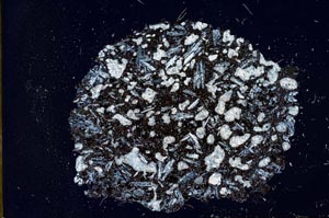 Cross Polarized, S20293