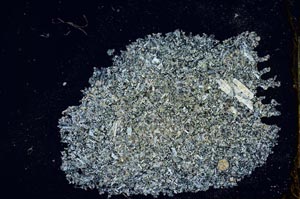 Cross Polarized, S20295