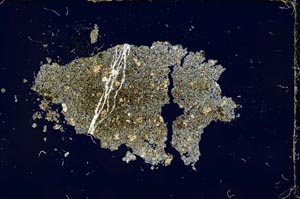 Cross Polarized, S20296