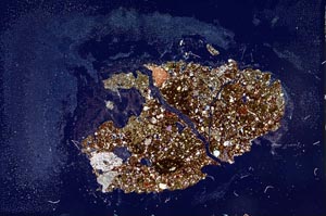 Cross Polarized, S20320