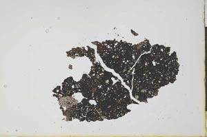 Plane Polarized, S20320