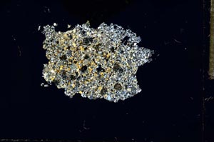 Cross Polarized, S20321