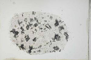 Plane Polarized, S20361