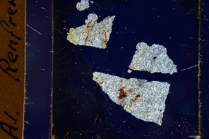 Cross Polarized, S20365