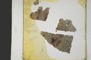 Plane Polarized, S20365