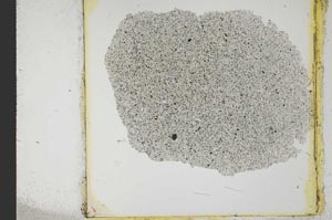 Plane Polarized, S20367