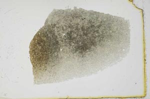 Plane Polarized, S20376