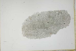 Plane Polarized, S20383