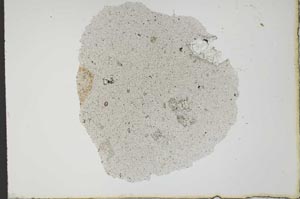 Plane Polarized, S20384