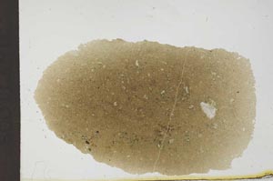 Plane Polarized, S20392